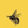 beetruly44